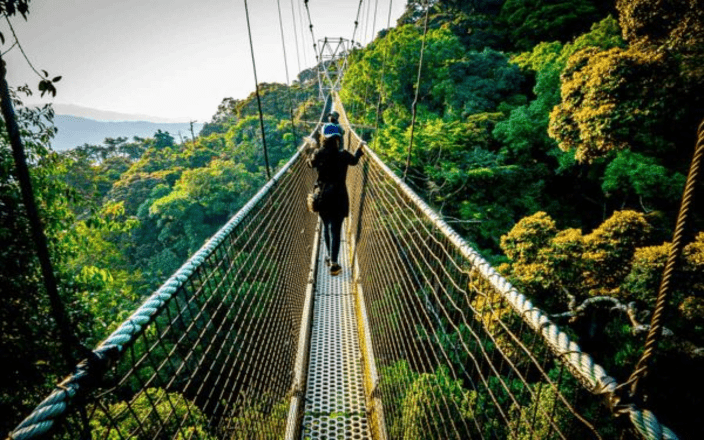Rwanda safari destinations